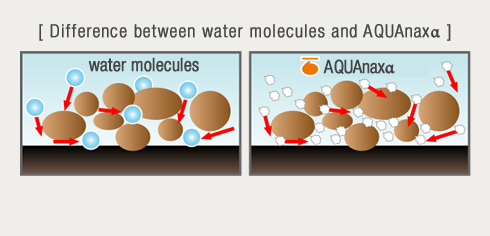Difference between water molecules and AQUAnaxα